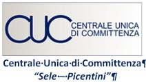 Centrale unica di committenza