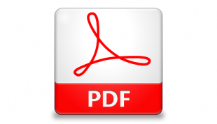 pdf icon